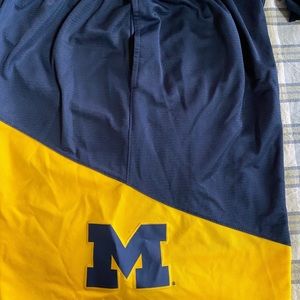 Nike Jordan Michigan shorts